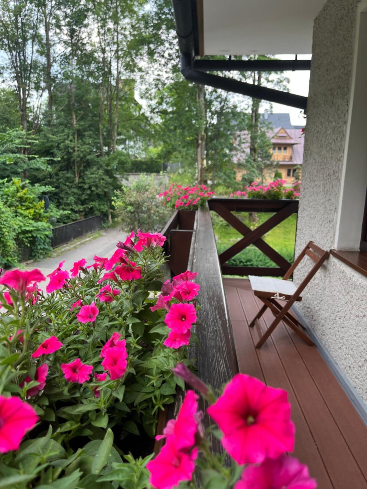 Bed and Breakfast Marina Zakopane Habitación foto